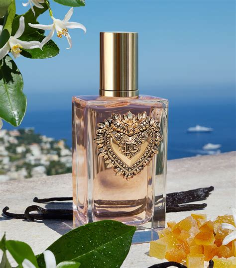 parfum devotion dolce gabbana avis|devotion dolce and gabbana.